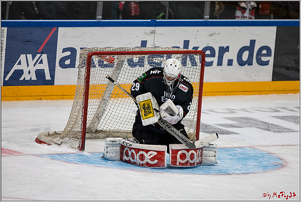 DEL, Koelner Haie - Adler Mannheim, 05.02.2017